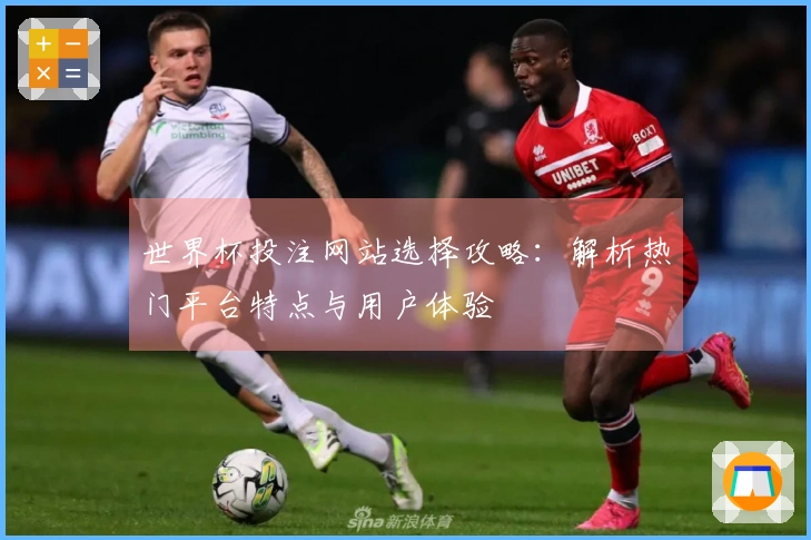 世界杯投注网站选择攻略：解析热门平台特点与用户体验