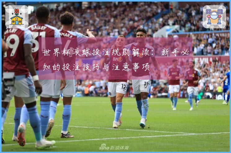 世界杯滚球投注规则解读：新手必知的投注技巧与注意事项