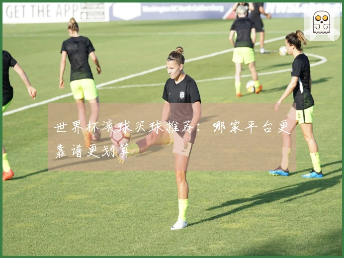 世界杯滚球买球推荐：哪家平台更靠谱更划算