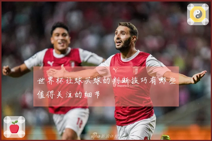 世界杯让球买球的判断技巧有哪些值得关注的细节