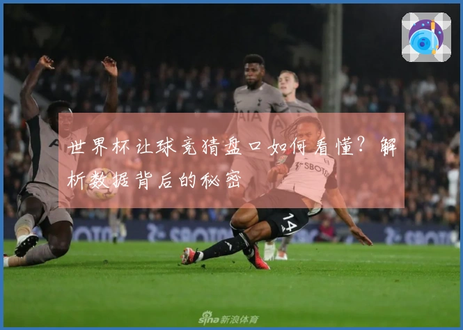 世界杯让球竞猜盘口如何看懂？解析数据背后的秘密