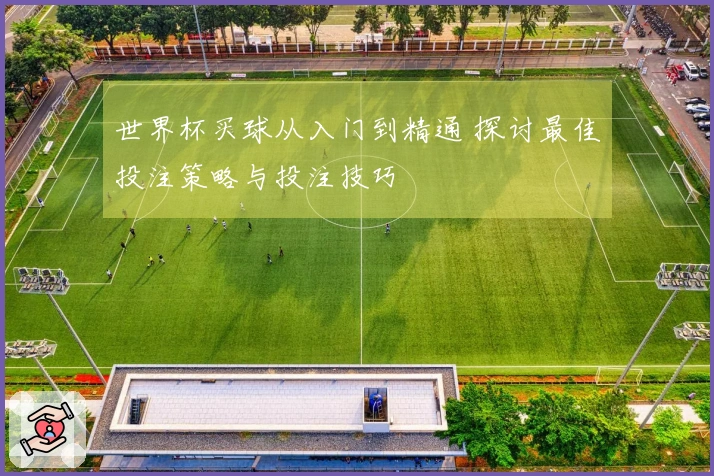 世界杯买球从入门到精通 探讨最佳投注策略与投注技巧